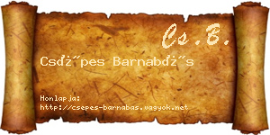 Csépes Barnabás névjegykártya