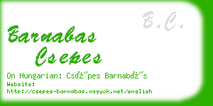 barnabas csepes business card